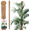 KOTARBAU® Moosstab für Monstera Kokos Natural ⌀ 3,2 x 120 cm Pflanzenstab Rankhilfe für Monstera Pflanzen Kokosstab Pflanzstab Rankstab Moss Pole Monstera Rankhilfe Blumenstab Moss Stab