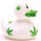 Duckshop I Traditionelle niederländische Badeenten (Badeente Cannabis)