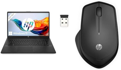 HP Laptop | 17,3 HD+ Display | Intel Celeron N4120 | 8 GB DDR4 RAM | 256 GB SSD | Intel UHD-Grafik | Windows 11 | QWERTZ | Schwarz 280 Silent Wireless Maus, Schwarz