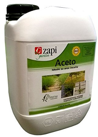 ZAPI Aceto Concentrato Bio Lt.5