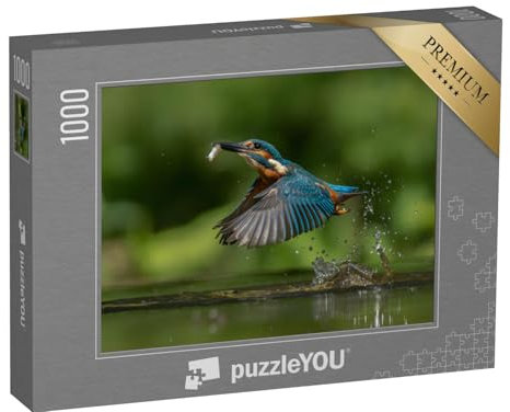 puzzleYOU: Puzzle 1000 Teile „Europäischer Eisvogel, Alcedo atthis mit Fisch als Beute“ – aus der Puzzle-Kollektion Vögel, Eisvogel