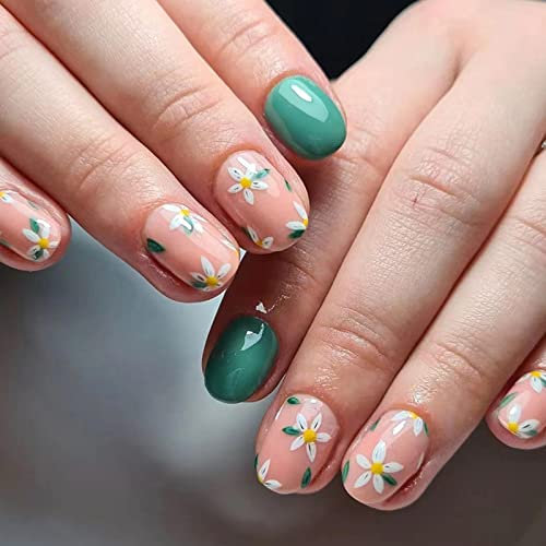 Ceboic 24 Pcs Square Short False Nails, French Tips Press on Nails Acrylic Full Cover Fake Nails, Glossy Removable Stick on Nails with Glue Sticker for Women and Girls (Green Daisy Flower)