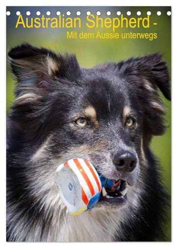 Australian Shepherd – Mit dem Aussie unterwegs (Tischkalender 2026 DIN A5 hoch), CALVENDO Monatskalender: Erleben Sie die vier Jahreszeiten mit dem Australian Shepherd (CALVENDO Tiere)