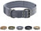 EXCELLENT ELITE SPANKER 1,5“ Breite militärische Hundehalsband einstellbare Metall D-Ring & Schnalle Arbeiten Hundehalsband für mittlere große Hunde(Gry-XL)