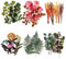 6 Packungen Sammelalbum Aufkleber Große Größe Wandaufkleber HAUSTIER Blumenaufkleber Dekoration Aufkleber Pflanzenaufkleber für Fenster Glastür Scrapbooking Tagebuch Album Tagebücher Arts (Weekend)