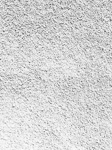 Sachet de 5 kg/SC Pigments® Pigment colorant pour ciment, mortier, béton/Serra Ciments® (Blanc)