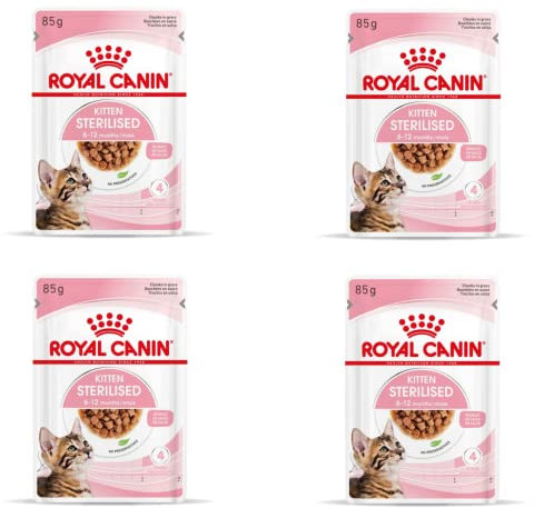 Royal Canin Kitten Sterilised Gravy | 4er Pack | 4 x 12 x 85 g | Nassfutter für kastrierte Kätzchen im Wachstum | Vom 6. bis zum 12. Monat | Weiche Textur für die Milchzähne