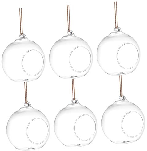 VANZACK 6stücke Glasterrarium Mit Flacher Unterseite Terrariumhalter Für Sukkulenten-Pflanzen Pflanzenterrarium Als Wohndekor Hängevase Mit Seil Zum Aufhängen