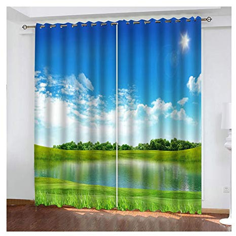Daesar Vorhänge Kinderzimmer 2er Set 214x214CM, Vorhänge Verdunkelung mit Ösen Rasen und Himmel Naturlandschaft Gardinen Vorhang Polyester Blickdicht Grün Blau