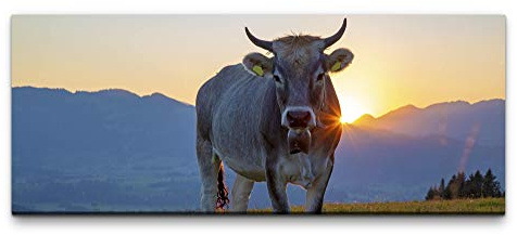 Eau Zone Wandbild Kuh im Allgäu 100x40cm