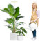 YUYMIKA Grow Lights for Indoor Plants, 72 LEDs Full Spectrum Led Plant Grow Light, 10 Dimmable Levels Grow Lamp with Auto Timer, 30-162CM Adjustable Plant Light for Small Tall Plants (1 PCS)