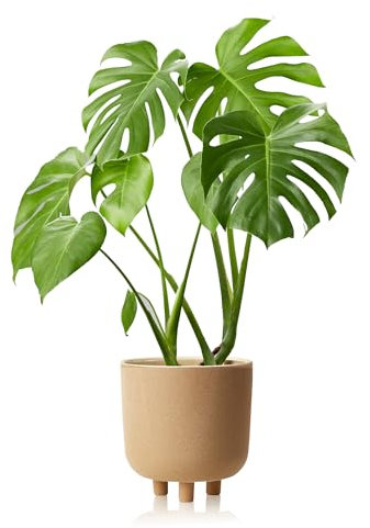 KHG Übertopf Braun rund, Höhe 23,5 cm, Durchmesser 22 cm, Größe M - Blumentopf Sandkornstruktur, wasserfest, Eignung innen, natürlich, Landhaus, Boho, Ethno