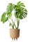 KHG Übertopf Braun rund, Höhe 23,5 cm, Durchmesser 22 cm, Größe M - Blumentopf Sandkornstruktur, wasserfest, Eignung innen, natürlich, Landhaus, Boho, Ethno