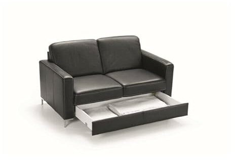 VIENNA INTERNATIONAL FURNITURE 2-Sitzer Sofa Basic aus echtem Leder – schwarz, Elegantes minimalistisches Design, Schlaffunktion, modular kombinierbar