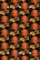 Queence Design Garderobe 80x120 cm | Wandgarderobe mit 6 Edelstahlhaken | Flurgarderobe | Garderobenhaken | Garderobenpaneele | Blumen Kleiderständer | Garderobenständer | Orange Pattern