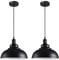 iDEGU 2 Stück Pendelleuchte Industrielle Vintage Pendellampe E27 Retro Lampe Metall Hängelampe für Küche Esszimmer Wohnzimmer Restaurant, Ø29cm (Schwarz, Weißes Interieur)