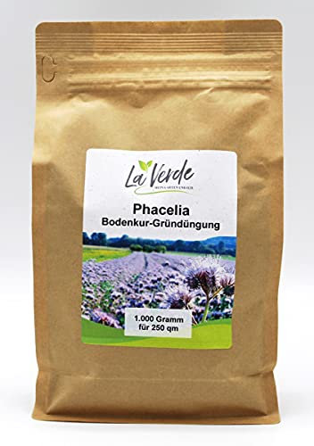 Phacelia 1 Kg Bodenkur/Samen