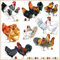 ti-flair 20 Servietten Verschiedene Arten von Hühner | Tiere | Bauernhof | Ostern | Tischdeko | Decoupage | Serviettentechnik 33x33cm