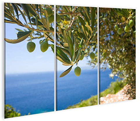 islandburner Bild auf Leinwand Olivenbaum Meer Hintergrund Natur Leinwandbild Wandbild Prime Bilder für Wohnzimmer etc.