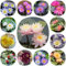 15 pcs Seerose Samen, Lotus Seeds, wasserpflanzen deko pflanzen Seerosen Kaufen, Teichpflanzen Winterhart, pflanzen winterhart draußen, outdoor pflanzen Wasserpflanzen Teich Winterhart