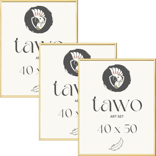 TAWO Bilderrahmen 40x50 Gold 3er Set Fotowand Fotorahmen aus leichtem Kunststoff mit Glas Picture frame Poster