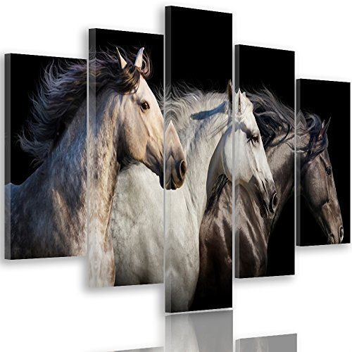 Feeby Frames, Tableau multi panneau 5 parties, Tableau imprimé xxl, Tableau imprimé sur toile, Tableau deco, Pentaptyque Type A, 150x100 cm, CHEVAUX, ANIMAUX, NATURE, NOIR, BLANC