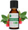 Voshuiles - Huile Essentielle Gaulthérie Couchée Bio 10ml - - Huiles Essentielles de Qualité - 100% Pure et Naturelle - HEBBD et Certifiée ECOCERT