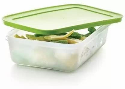 TUPPERWARE Gefrierbehälter aus Kunststoff, 1 Liter, 1 Stück, grün, 1000 ml, Kunststoff-Behälter (grün)
