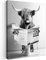MuchoWow© Leinwand Bilder 30x40 cm Wanddeko Wohnzimmer Aesthetic Room Decor Deko Zimmer Wandbilder Modern Fotogeschenke Toilette - Zeitung - Schottisches Hochlandrind - Schwarz und Weiß