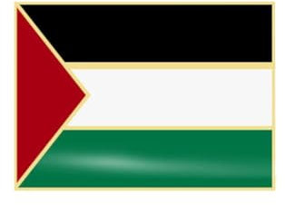 Pin de solapa de bandera de Palestina, pin de solapa nacional palestina de metal, pines de soporte de bandera de Palestina, botón de insignia I Fl con Palestina, sin talla