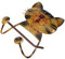 VOSAREA Toilettenpapierhalter Katze Figur Ohne Bohren Wandmontage Rollenhalter Küche Wandrollenhalter WC Papierrollenhalter Handtuchhalter Klopapierrollenhalter Toilettenpapierständer