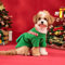 Cuddle Season Ready Hundepullover mit lustigem Rentier-Design, Größe M