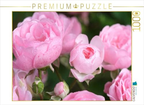 CALVENDO Puzzle Rose 'The Fairy' | 1000 Teile Lege-Größe 64 x 48 cm Foto-Puzzle für glückliche Stunden