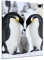 Bilderdepot24 Bild auf Leinwand | Pinguinfamilie in 30x40 cm als Wandbild | Wand-deko Dekoration Wohnung modern Bilder | 202171
