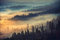 Muralo Fototapete Wald im Nebel 60 x 90 cm Vlies Tapete Wandtapeten Bäume Wohnzimmer Schlafzimmer Moderne Wandbilder XXL Landschaft Panorama Wand Dekoration