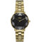 STORM Elexi, Damenuhr, 5 bar Wasserdicht, Analoguhr, Mineralglas, Edelstahlgehäuse (Gold Black)