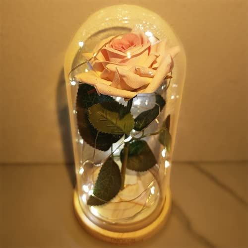 Personalised Eternal Rose in Glass with Engraving, Light Roses Birthday Gift for Mum, Mother's Day Gifts, Gifts for Women, Mum, Girlfriend, Women's Day, Wedding Anniversary, LED Valentine's Day, Her