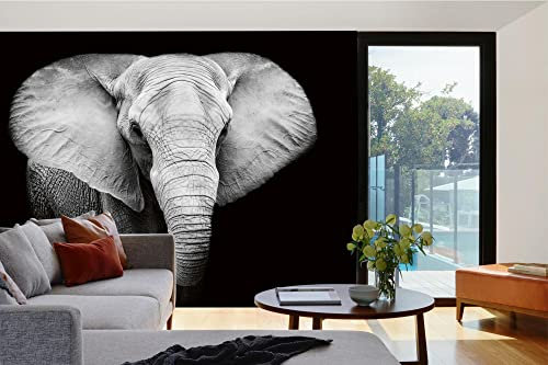 Vlies Fototapete ELEFANT 375 x 250 cm (inkl. Kleister) - Vlies Tapete, Wandtapete, Wandbilder - Tapete für Wohnzimmer Schlafzimmer, Büro, Küche - Montagefertig