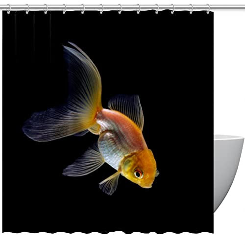 Rideau de douche poisson rouge avec crochets