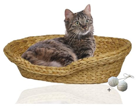 Rohrschneider Komfortables Katzenkörbchen mit Katzenkissen| Katzennest Korb Wasserhyazinthe | Katzenkörbchen geflochten zum Schlafen | Umweltfreundliches Katzenbett mit Kissen | 2 Größen (1)