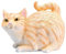 Pluuttiem Katzen-Hintern-Taschentuchhalter - Quadratische Taschentuchbox-Abdeckung Tabby Cat - Niedliche Badezimmer-Accessoires A