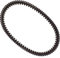 Dayco Keilriemen f. Kawasaki KFX 700 A KSV 6F S. 8021787040807