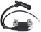 Yctze pour bobine allumage motoculteur Bobine d'allumage, bobine d'allumage pour GX110 GX140 GX120 GX160 GX200 bobines d'allumage automobile