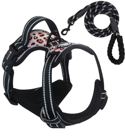 Hundegeschirr mit Hundeleine füR Kleine MittelgroßE GroßE Hunde, Verstellbare Reflektierende Katzengeschirr mit Flexi Leine Ausbruchsicher, Atmungsaktive No Pull Hund Brustgeschirr