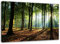 Feeby, Leinwandbild, Bilder, Wand Bild, Wandbilder, Kunstdruck 70x100cm, Wald, Baum, Landschaft, Natur, GRÜN