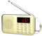 Retekess PR11 Tragbarers Radio, AM FM Kleines Radio mit Lautsprecher, MP3-Player, Notfall Taschenlampe, LCD Bildschirm(Gold)