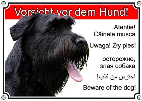 Petsigns Hundeschild - Riesenschnauzer - Metallschild wetterfest in sechs Sprachen, DIN A5