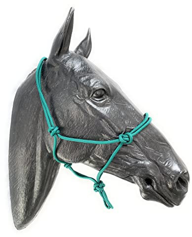 ARBO-INOX Knotenhalfter einfach ohne Führstrick Sonderangebot (Pony, GRÜN)
