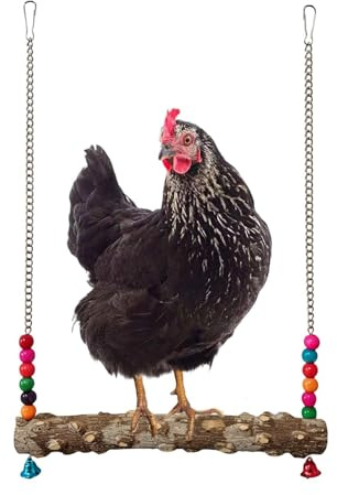 Columpios de pollo para cocineros, parque infantil de madera con campanas – Jaula de gallinas, juguetes para gallinas, gallo, ejercicio, jugar, descansar, masticar, recinto de jaula para patio trasero