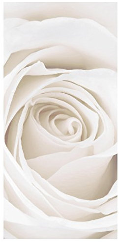 Bilderwelten Raumteiler Top Raumtrenner White Rose 250x120cm + transp. Halterung